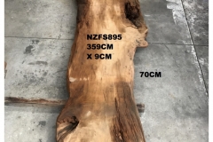 NZFS895