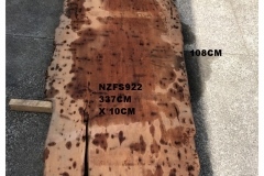 NZFS922