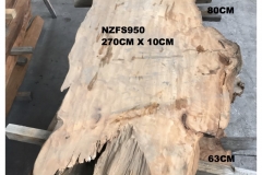 NZFS950