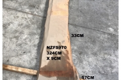 NZFS970