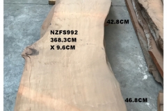 NZFS992