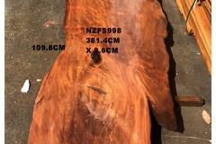 NZFS998