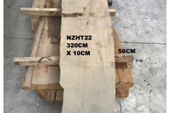 NZHT22