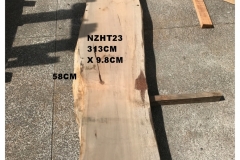 NZHT23