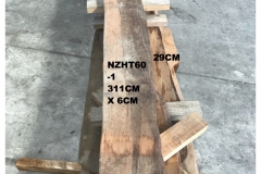 NZHT60-1