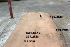 SW543-12