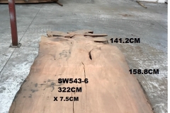 SW543-6