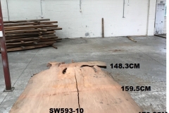 SW593-10