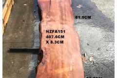 NZFA151