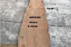 NZFA208