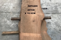 NZFA209