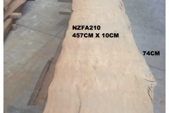 NZFA210