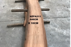 NZFA211