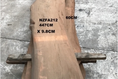 NZFA212