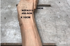 NZFA213