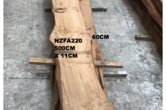 NZFA220