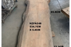 NZFA248