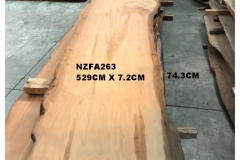 NZFA263