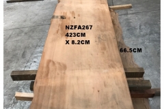 NZFA267
