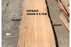 NZFA269