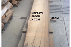 NZFA279