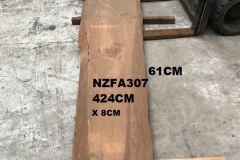 NZFA307