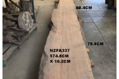 NZFA337