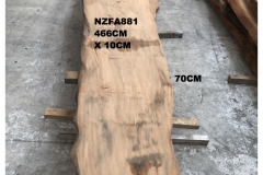 NZFA881
