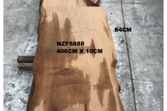 NZFS888