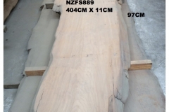 NZFS889