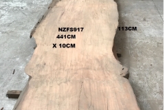 NZFS917