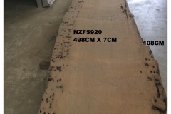NZFS920