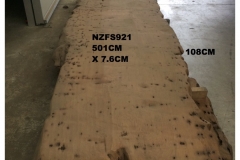 NZFS921