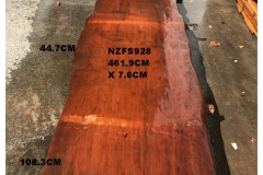 NZFS928