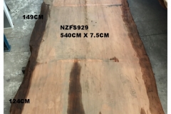 NZFS929