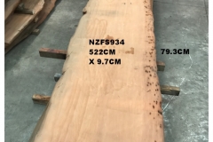 NZFS934