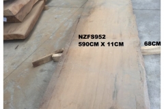 NZFS952