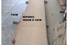 NZFS953