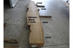 NZFS955