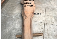 NZFS956