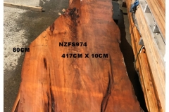NZFS974