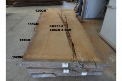 SW577-2